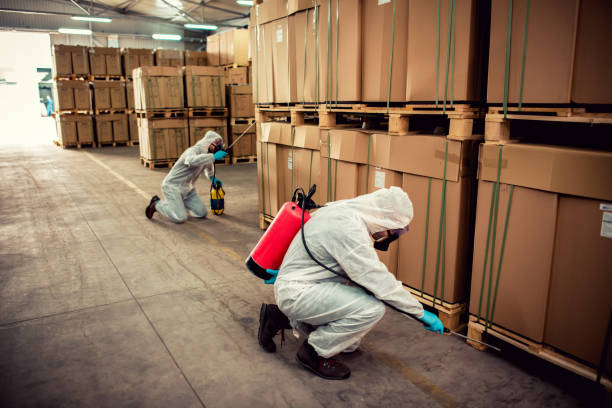 Best Termite Control Services  in Fort Myers Shores, FL