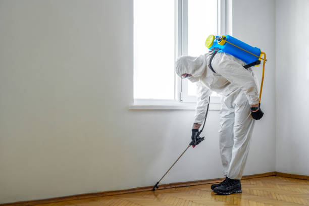 Best Pest Prevention Services  in Fort Myers Shores, FL